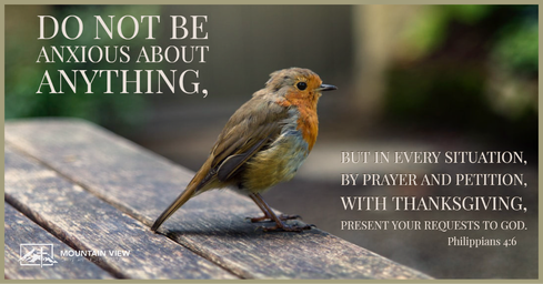 Sparrow - Do not be Anxious about Anything.