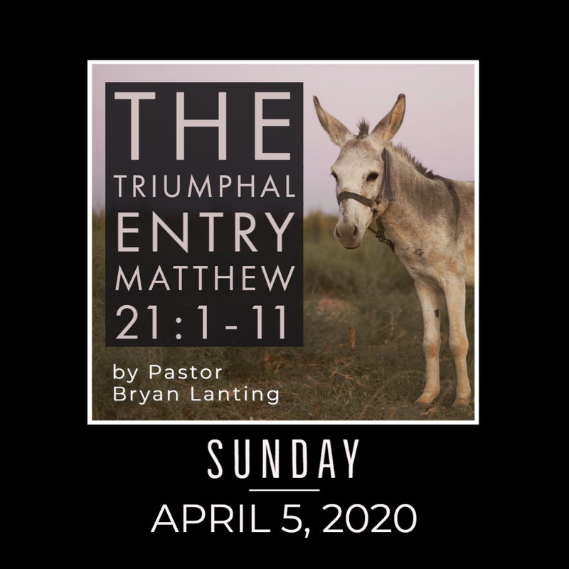 Sermon - Audio
The Triumphal Entry
Matthew 21:1-11
Pastor Bryan Lanting
April 5, 2020
