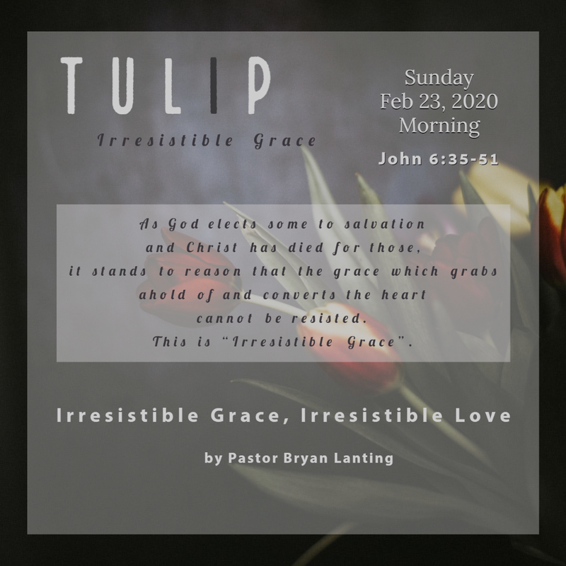 Sermon - Audio
Irresistible Grace, Irresistible Love
John 6:35-51
Pastor Bryan Lanting
February 23, 2020 Morning
