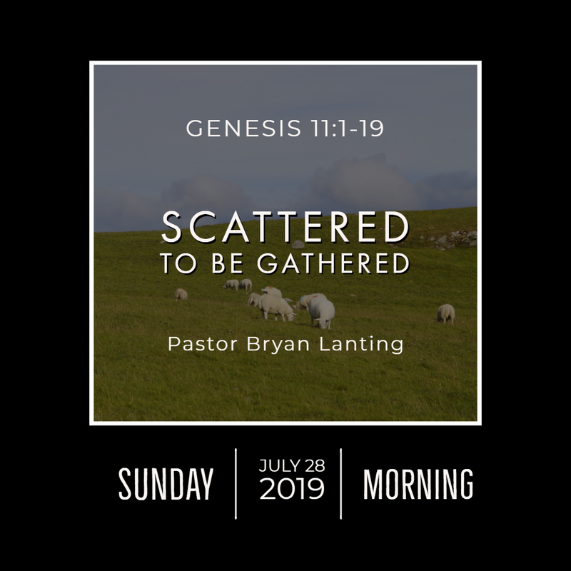 July 28, 2019 
Morning
Genesis 11
Scattered to be Gathered
Lanting
Audio Message
