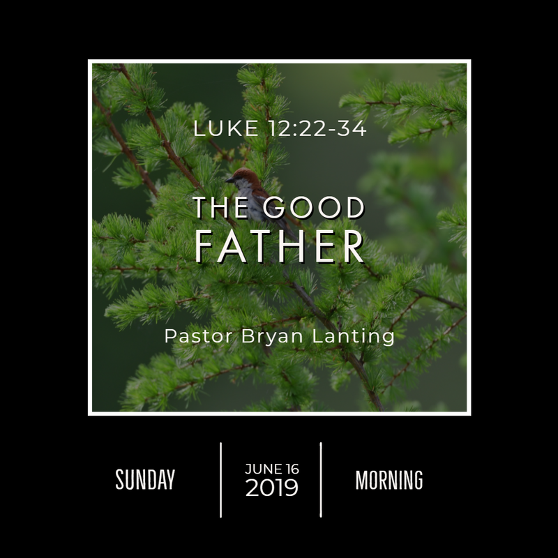 June 16, 2019 
Morning
Luke 12
The Good Father
Lanting
Audio Message