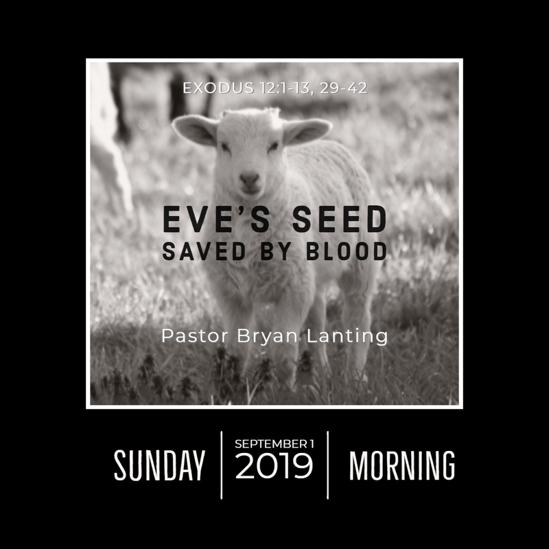 September 1, 2019 
Morning
Exodus 12
Eve's Seed Saved by Blood
Lanting
Audio Message