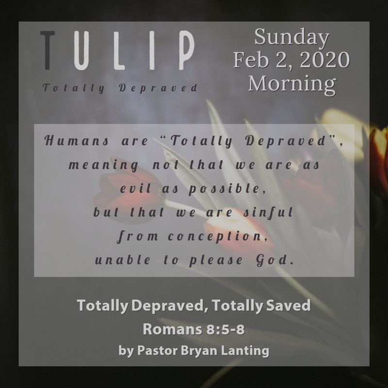 Audio Sermon
Totally Depraved, Totally Saved
Romans 
Pastor Bryan Lanting
TULIP Series
Feb 2, 2020
Morning