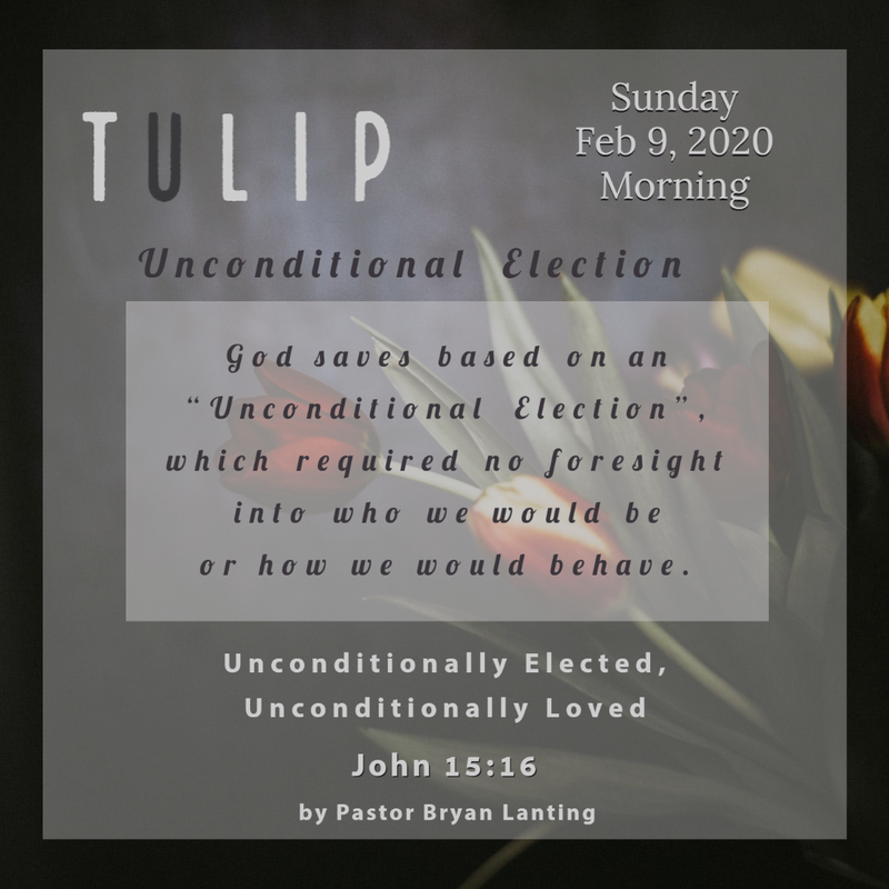 Audio Sermon
Unconditionally Elected, Unconditionally Loved
John 15:16
TULIP Series
Pastor Bryan Lanting
February 9, 2020 Morning